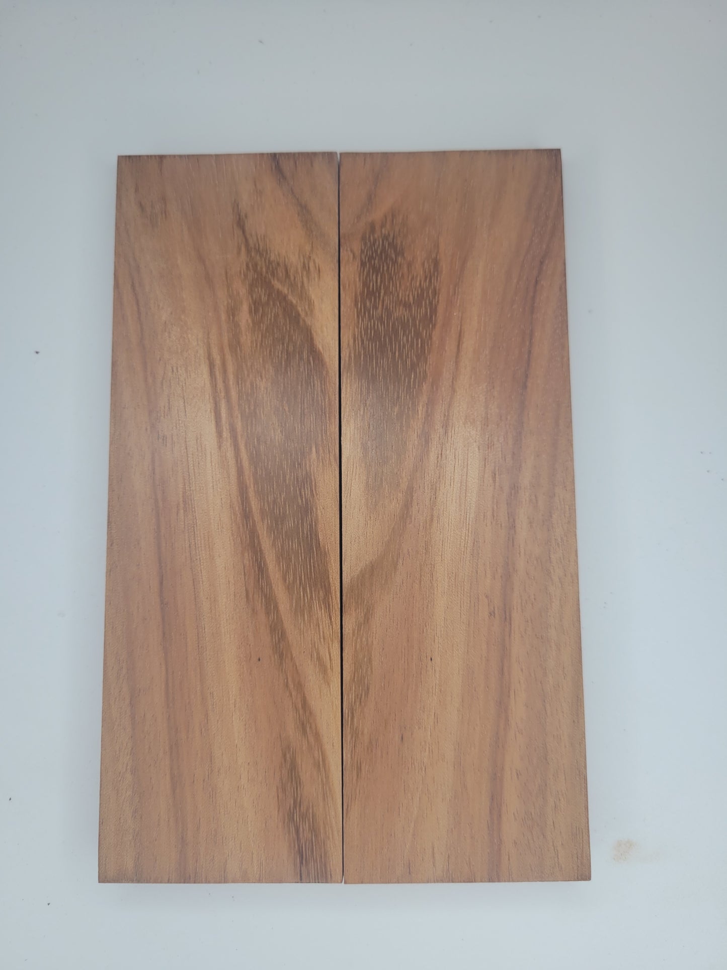 Tigerwood - stabilized - natural scale