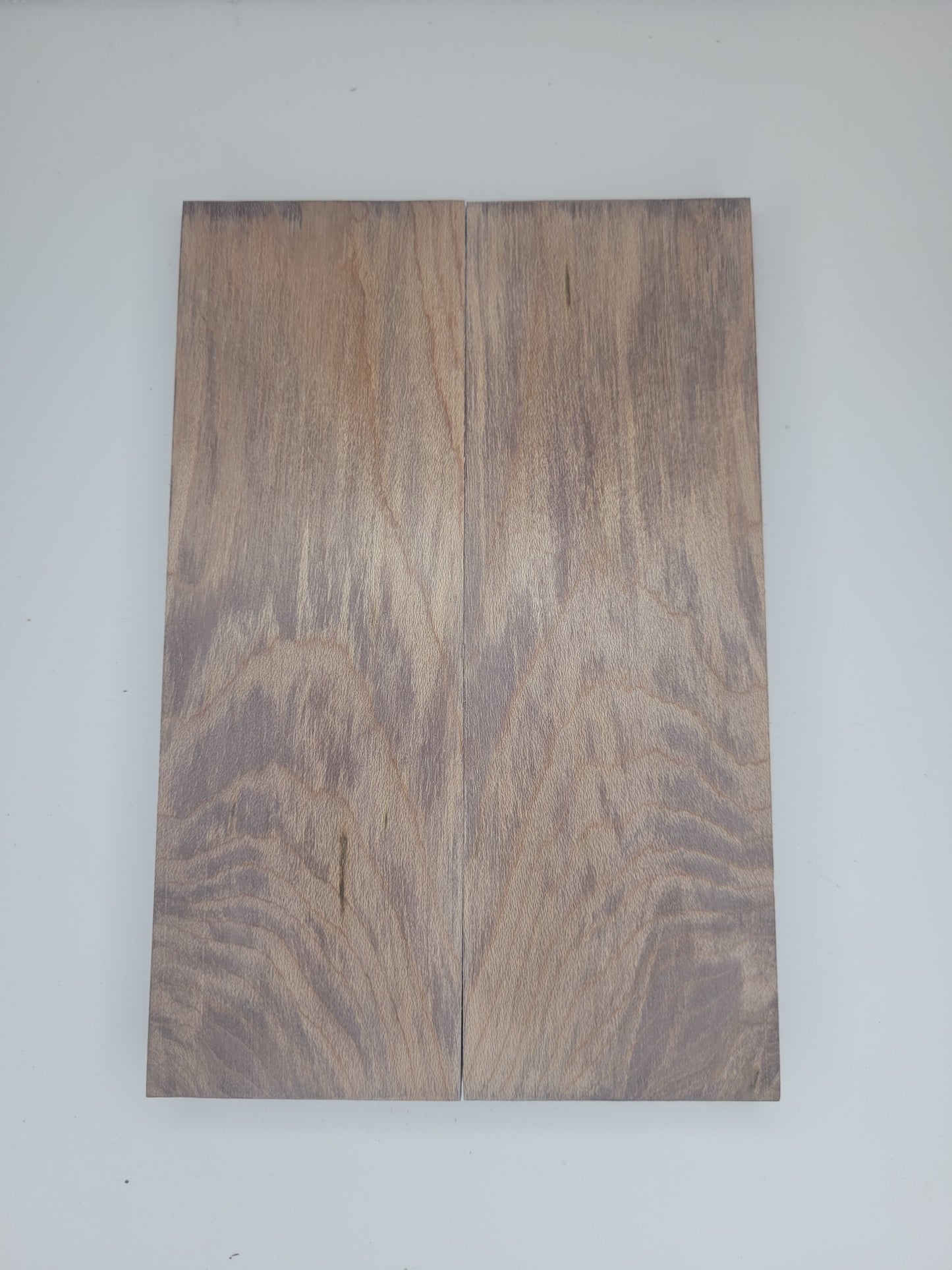 Ambrosia Maple - stabilized - antique grey dyed scale