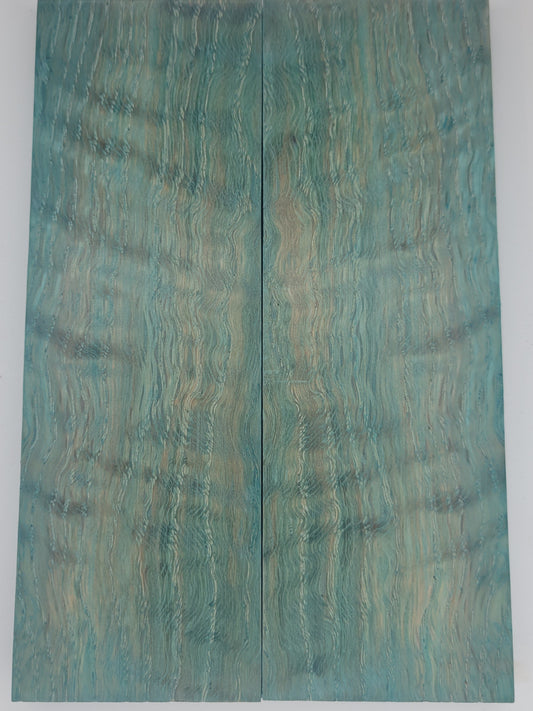 white oak - stabilized - blue dyed scale