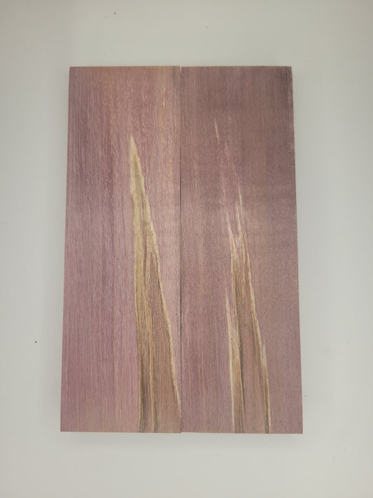 Ambrosia maple stabilized - maroon dye scales