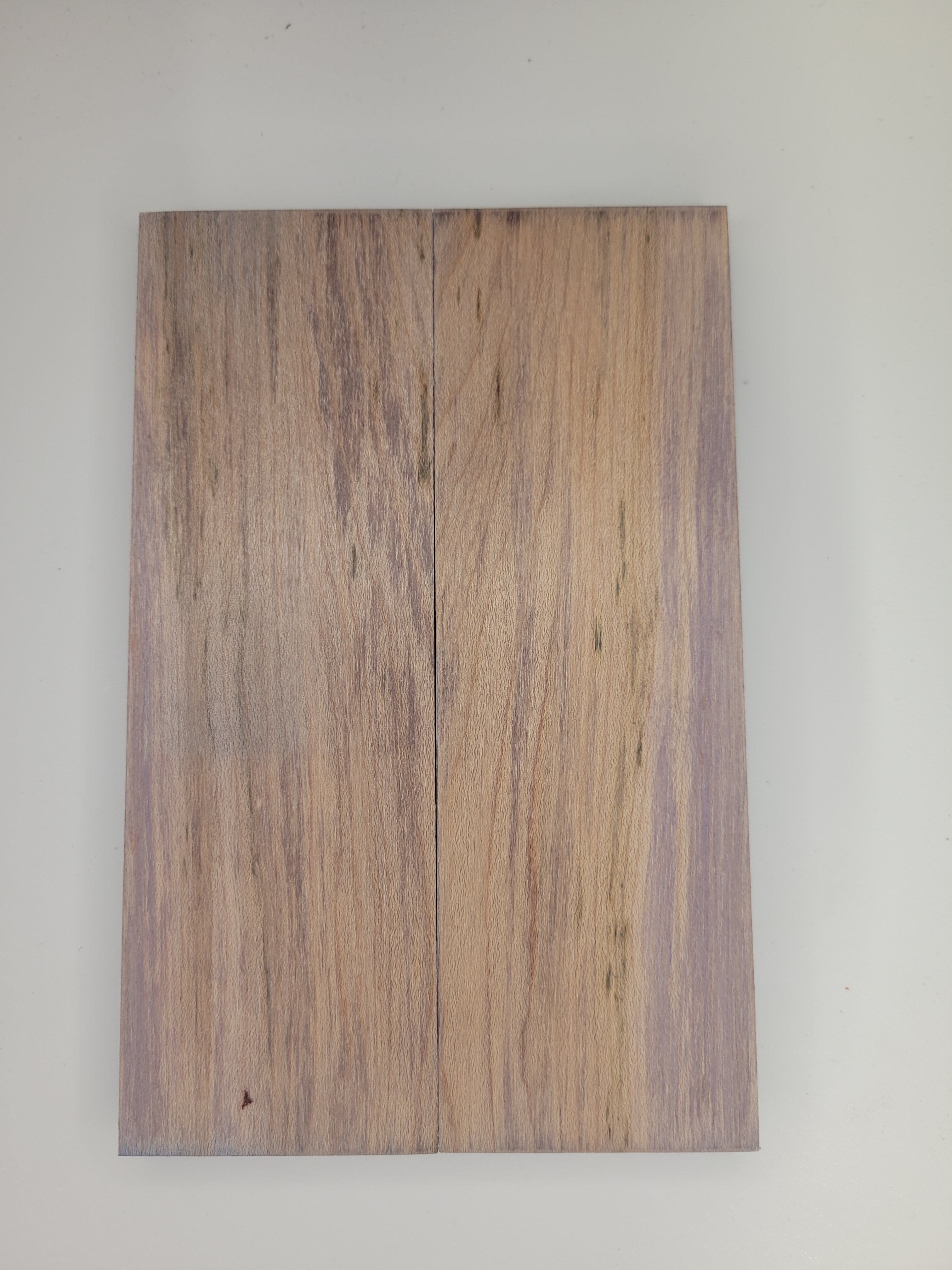 Ambrosia maple stabilized - distressed blue dye scales