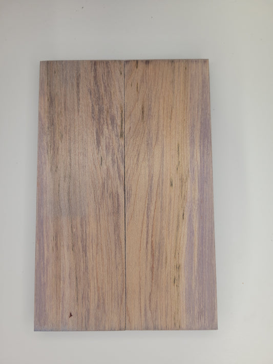 Ambrosia maple stabilized - distressed blue dye scales